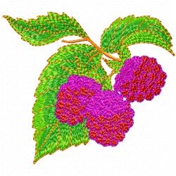 Raspberry Embroidery Design 3 Raspberry Embroidery Design 3